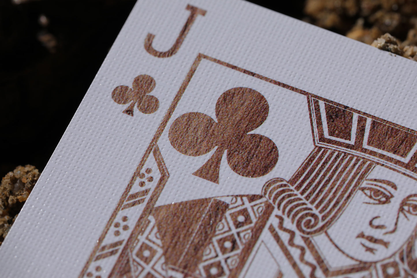 Pachira Aquatica Playing Cards
