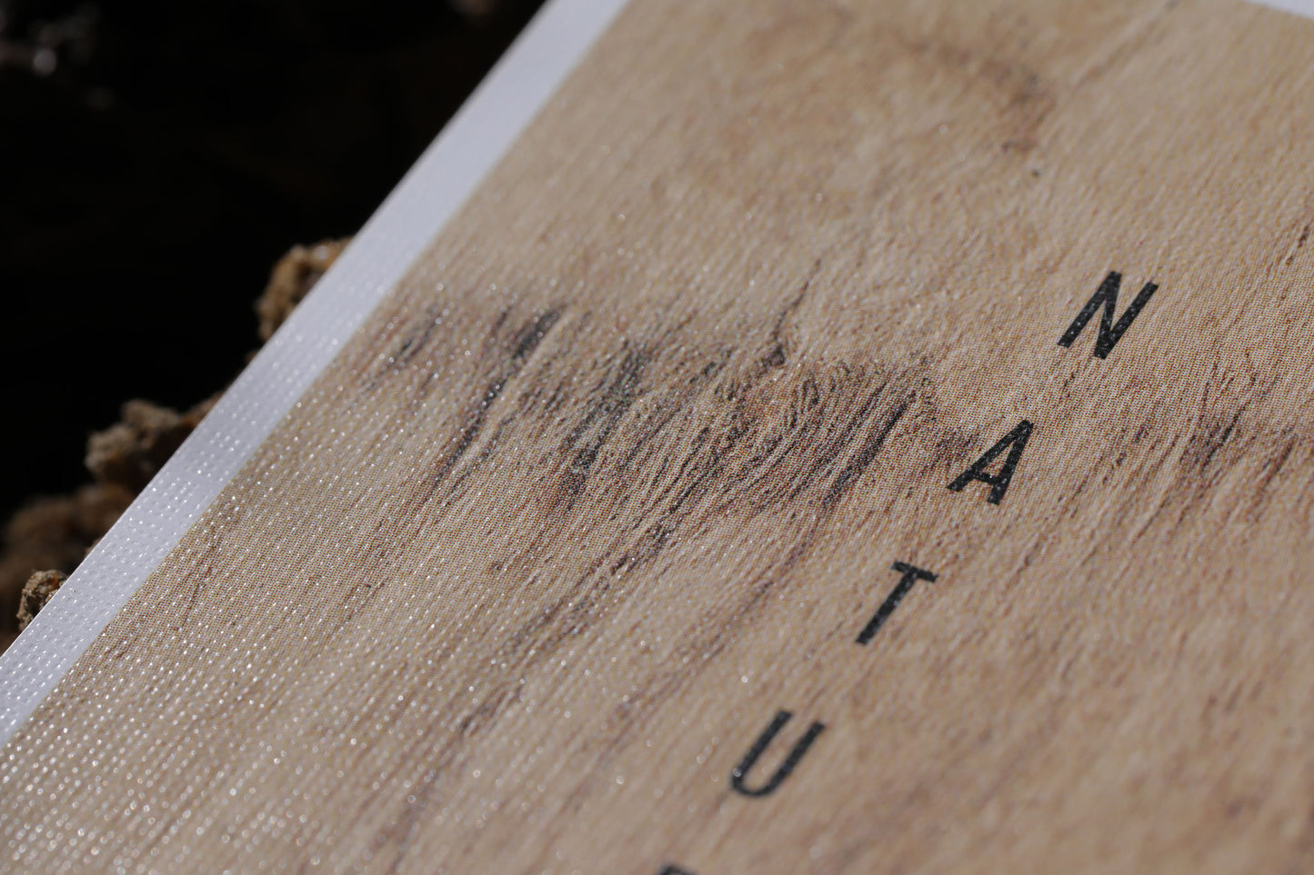 Pachira Aquatica Playing Cards