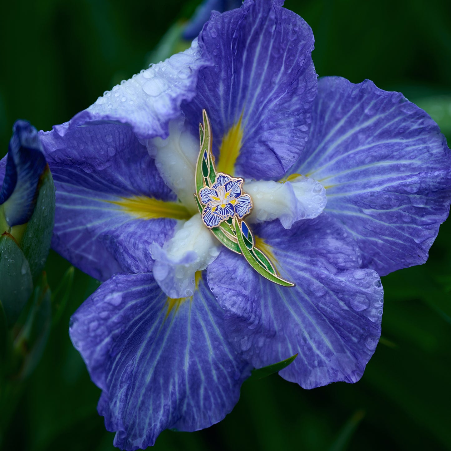 daparo Enamel Pins "Daparo Iris"