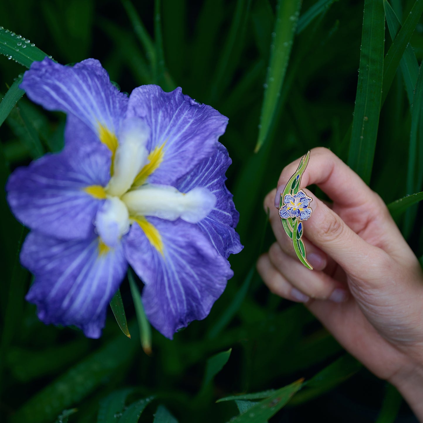 daparo Enamel Pins "Daparo Iris"