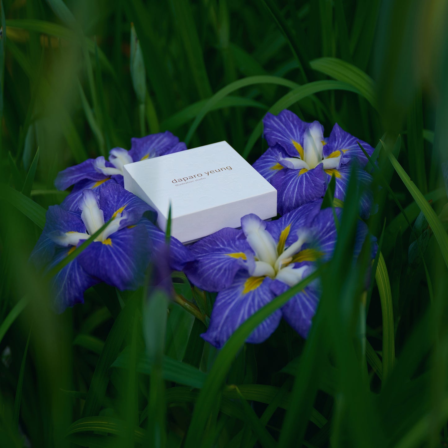 daparo Enamel Pins "Daparo Iris"