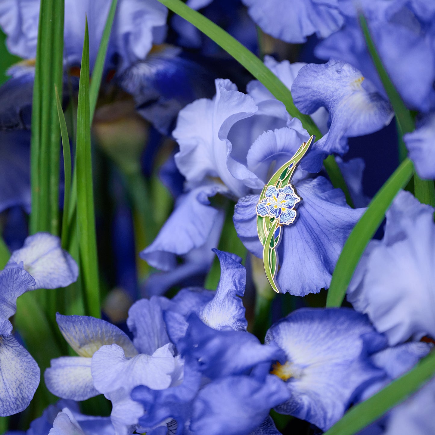 daparo Enamel Pins "Daparo Iris"
