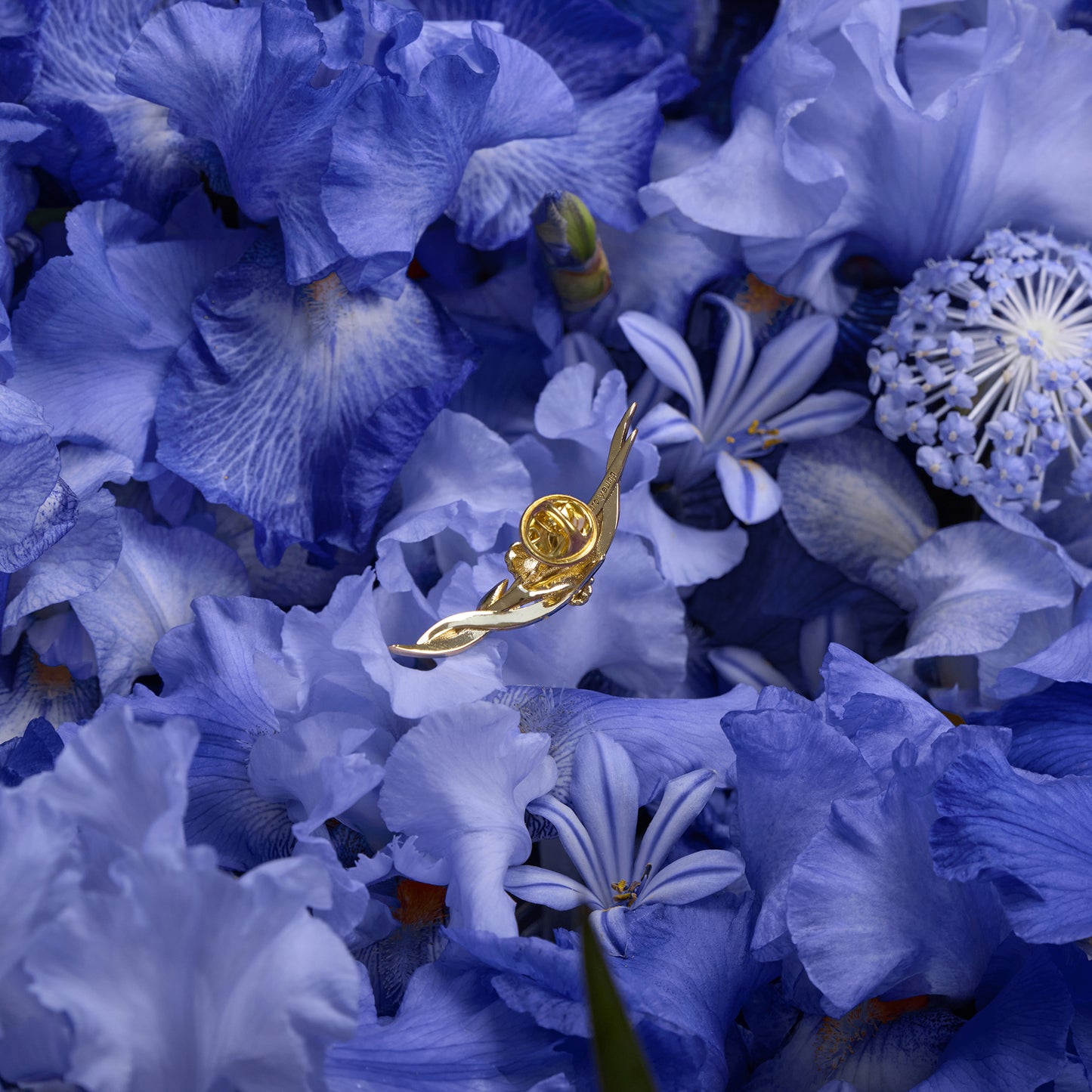 daparo Enamel Pins "Daparo Iris"