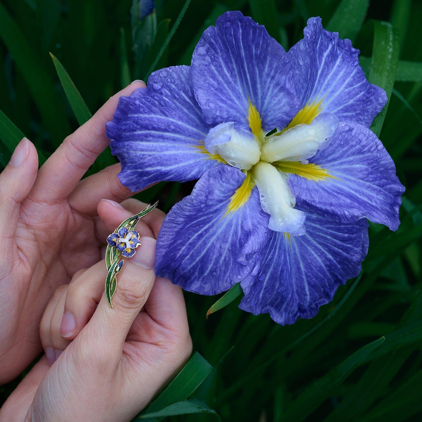daparo Enamel Pins "Daparo Iris"