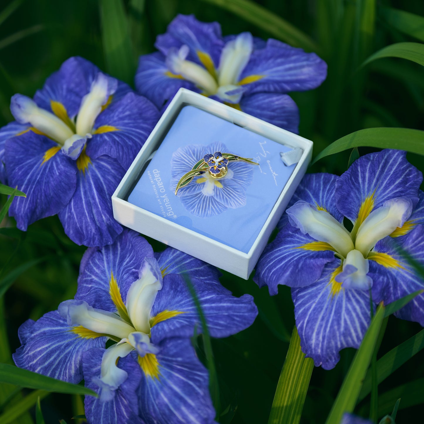 daparo Enamel Pins "Daparo Iris"
