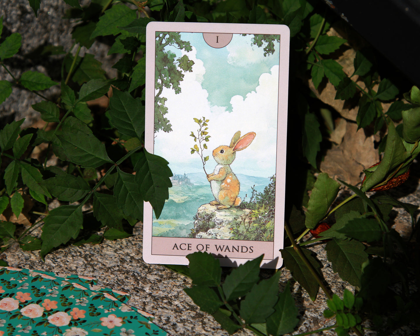 Rabbit Tarot