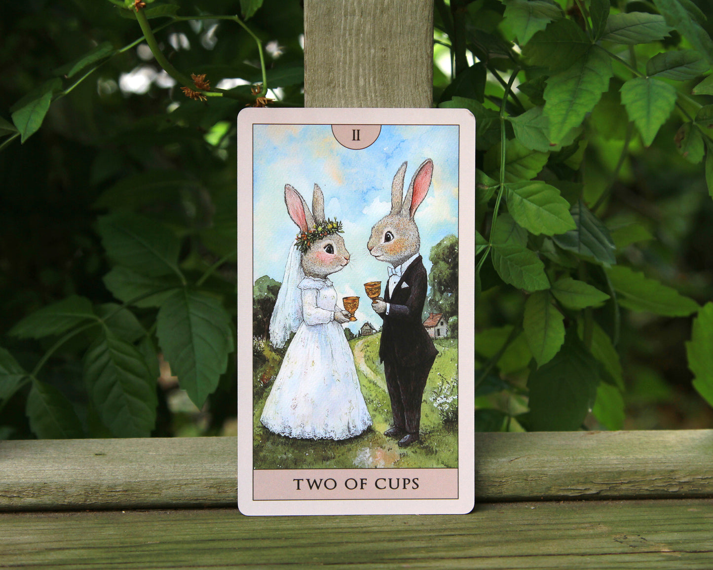 Rabbit Tarot