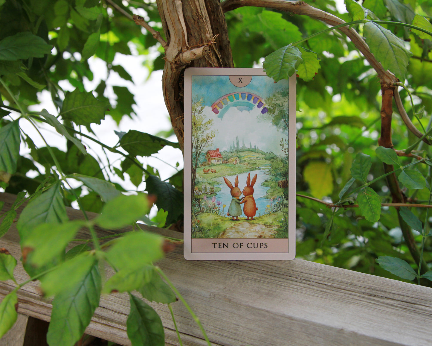 Rabbit Tarot