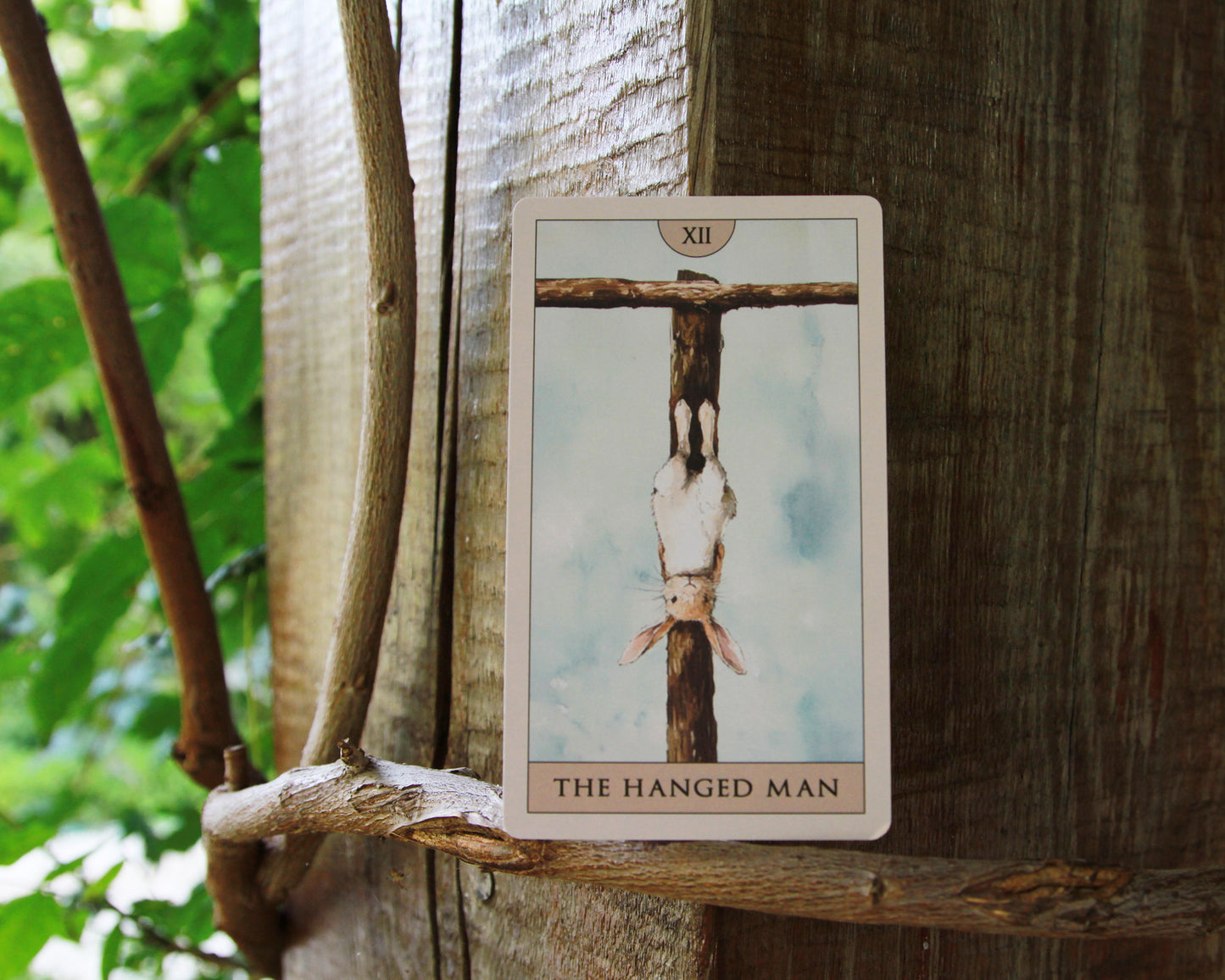 Rabbit Tarot