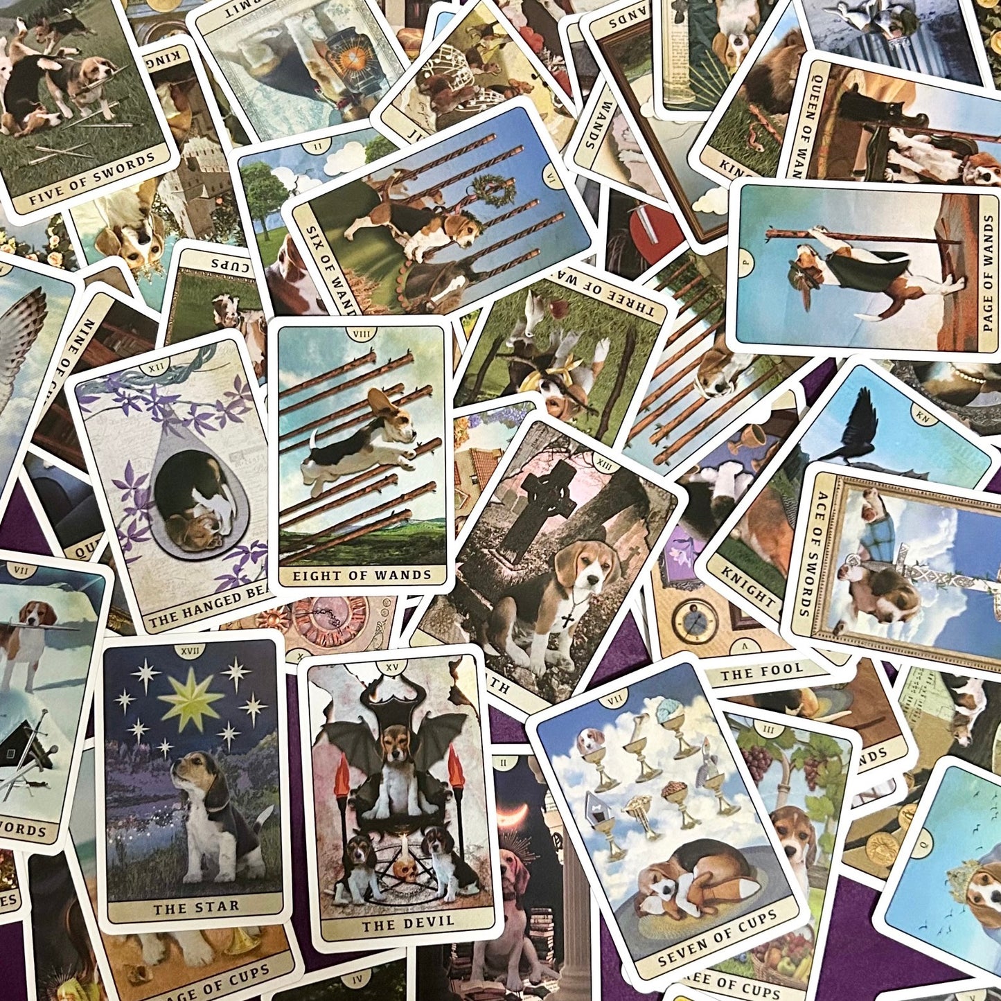 Tarot of Beagle Dogs