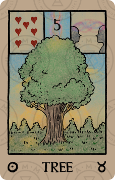 Akashic Eye Lenormand – Tree