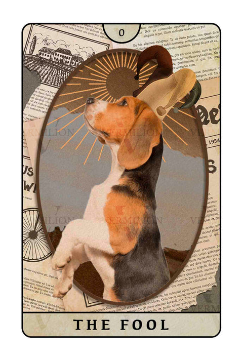 Beagle Dogs Tarot – The Fool