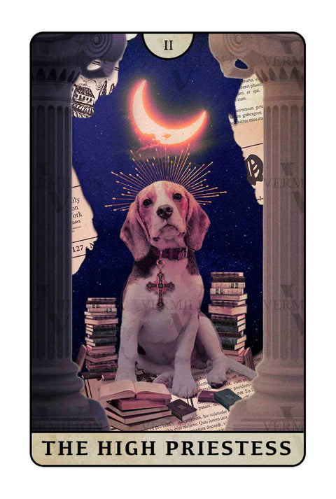 Beagle Dogs Tarot – The High Priestess