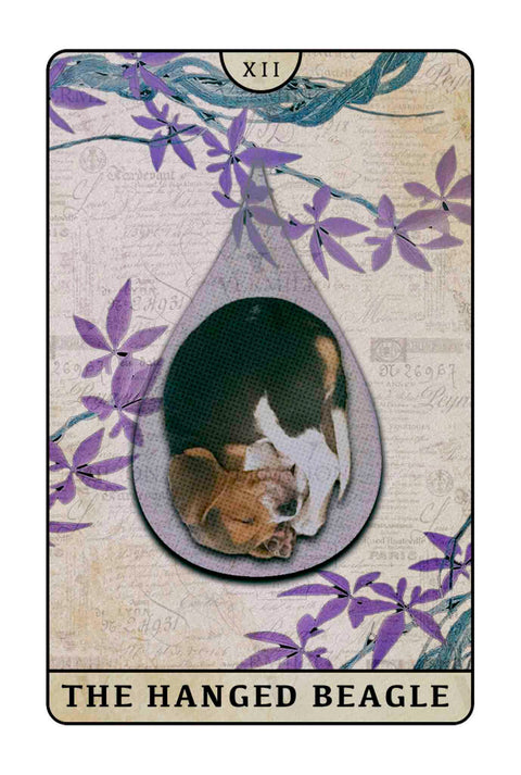 Beagle Dogs Tarot – The Hanged Beagle