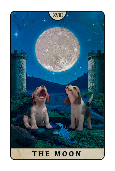 Beagle Dogs Tarot – The Moon