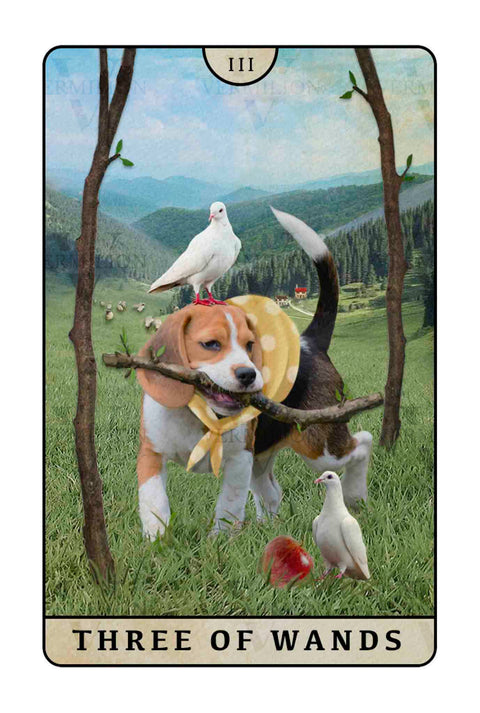 Beagle Dogs Tarot – Three of Wands