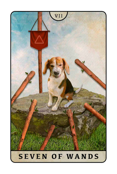 Beagle Dogs Tarot – Seven of Wands