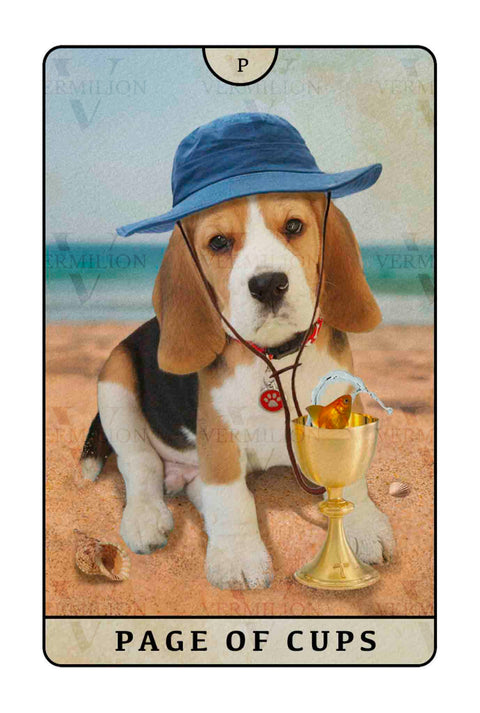 Beagle Dogs Tarot – Page of Cups