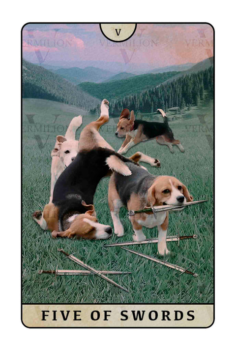 Beagle Dogs Tarot – Five of Swords
