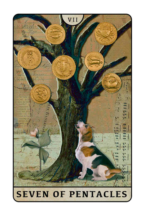 Beagle Dogs Tarot – Seven of Pentacles