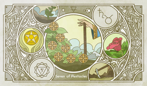 Sambucus Tarot - RWS Version – Seven of Pentacles