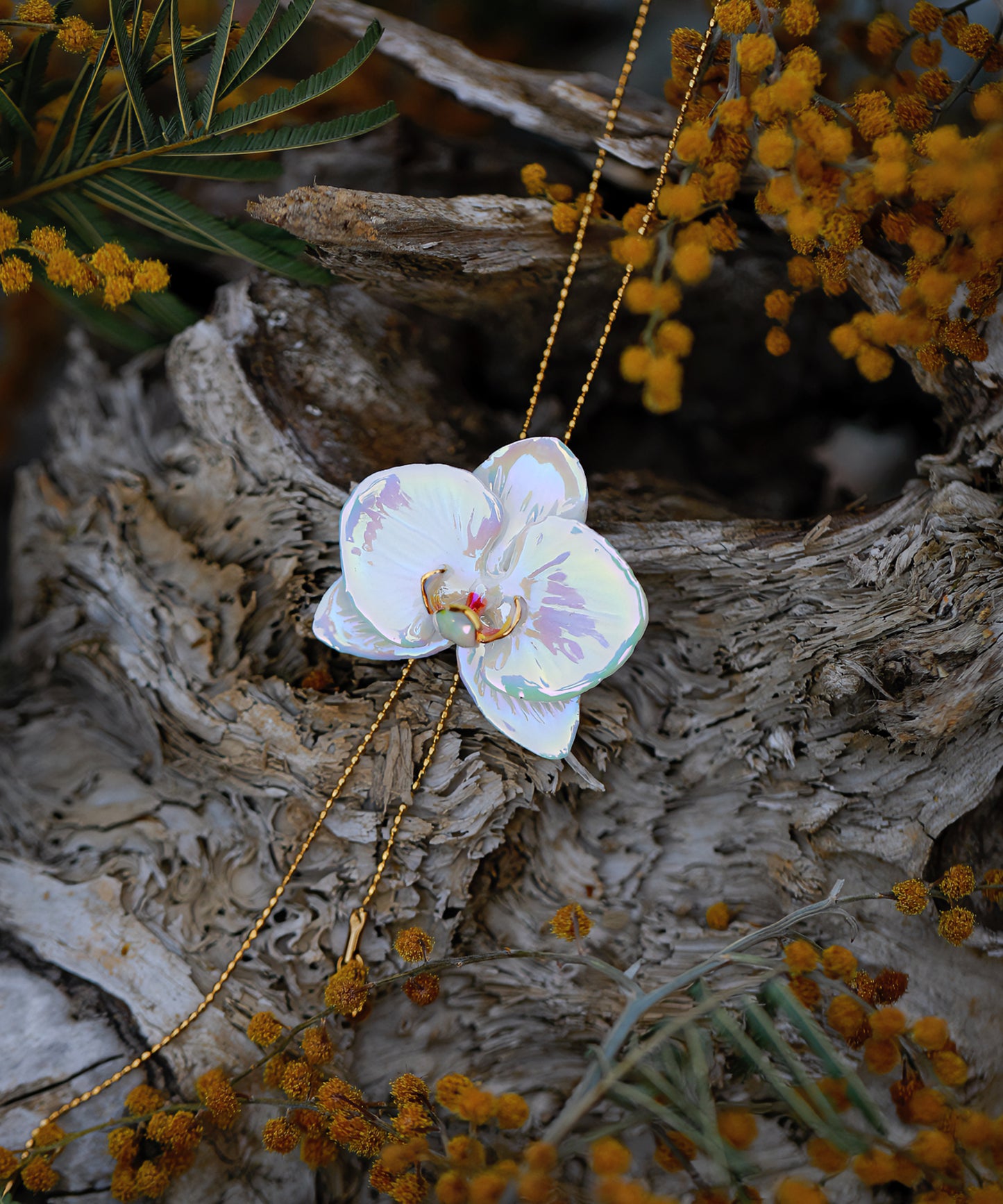 YIHE Ceramic Accessories "Moth Orchid"