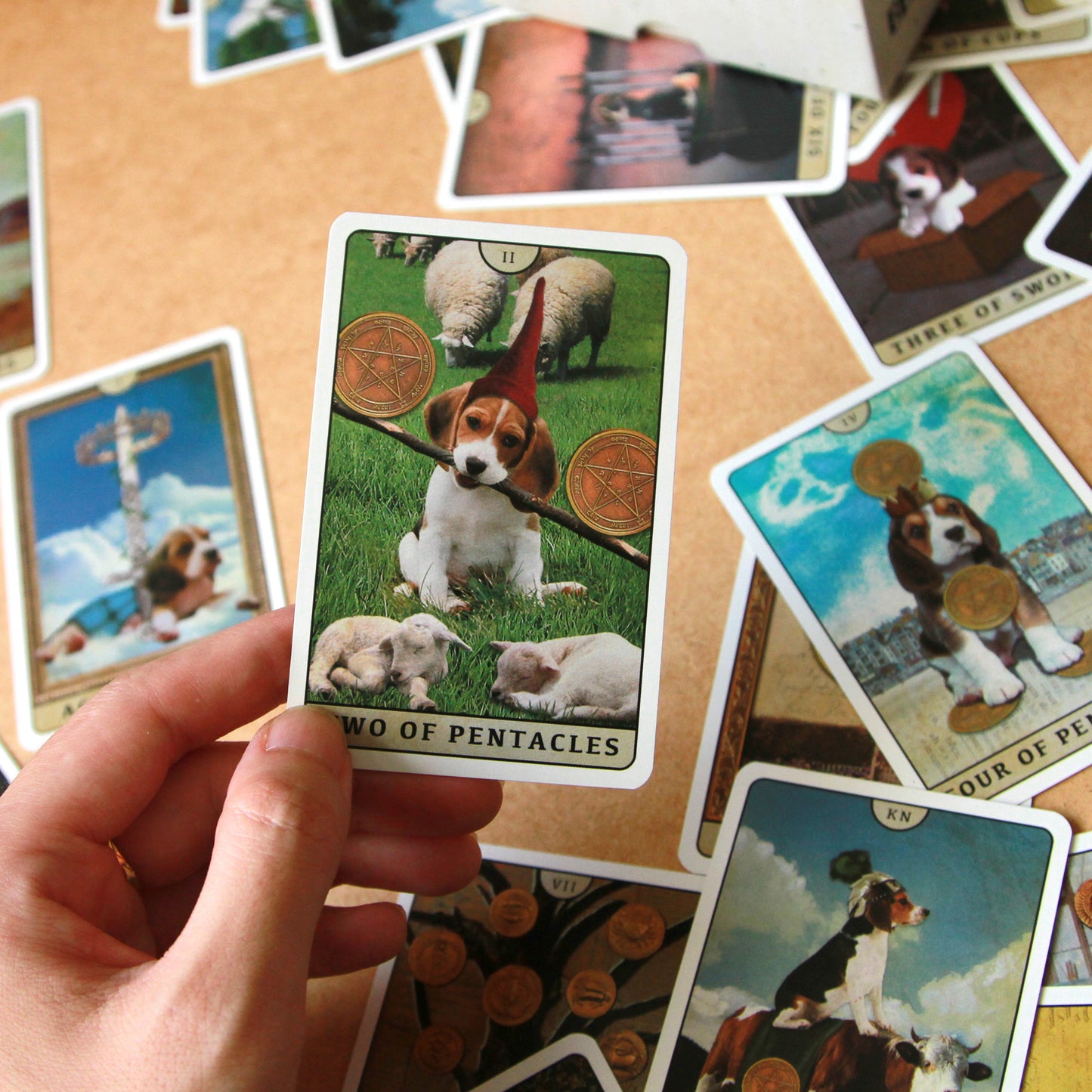 Tarot of Beagle Dogs