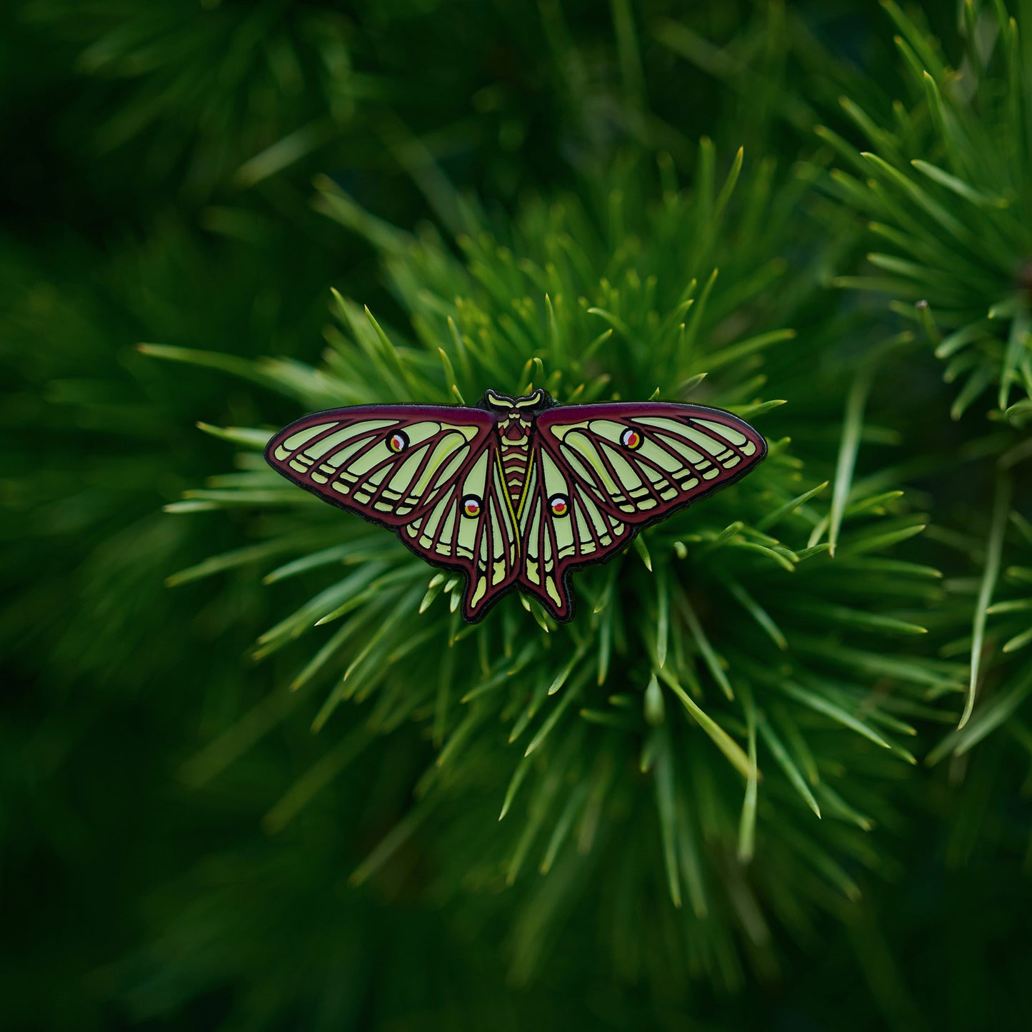 daparo Glow-in-the-Dark Enamel Pins "Spanish Moon Moth"