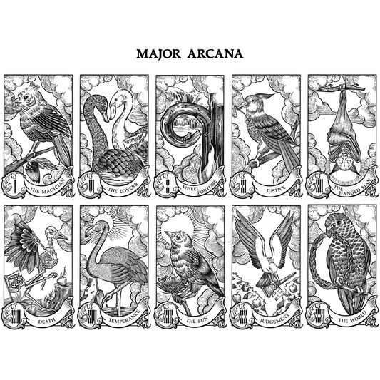 The Nature Tarot: A Winged Tribute to the Rider-Waite