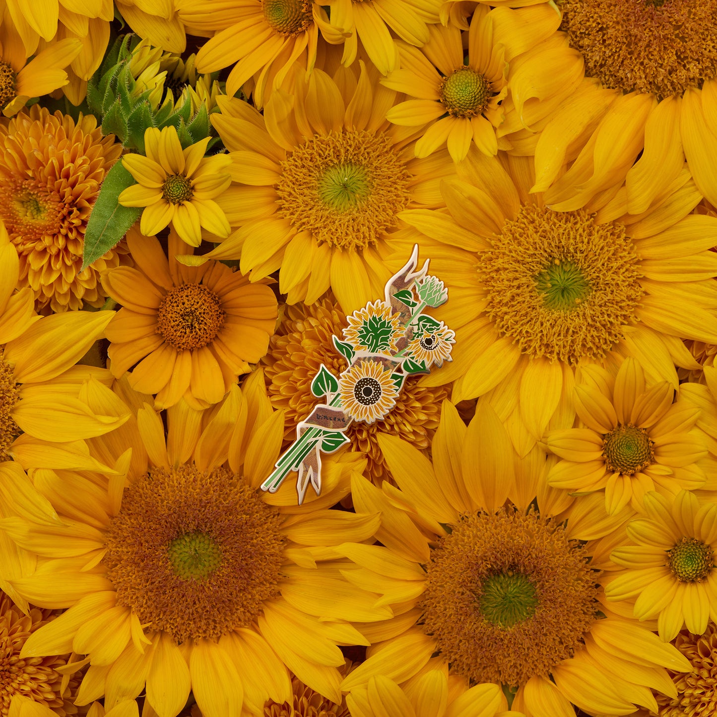 daparo Enamel Pins "Vincent's Garden"