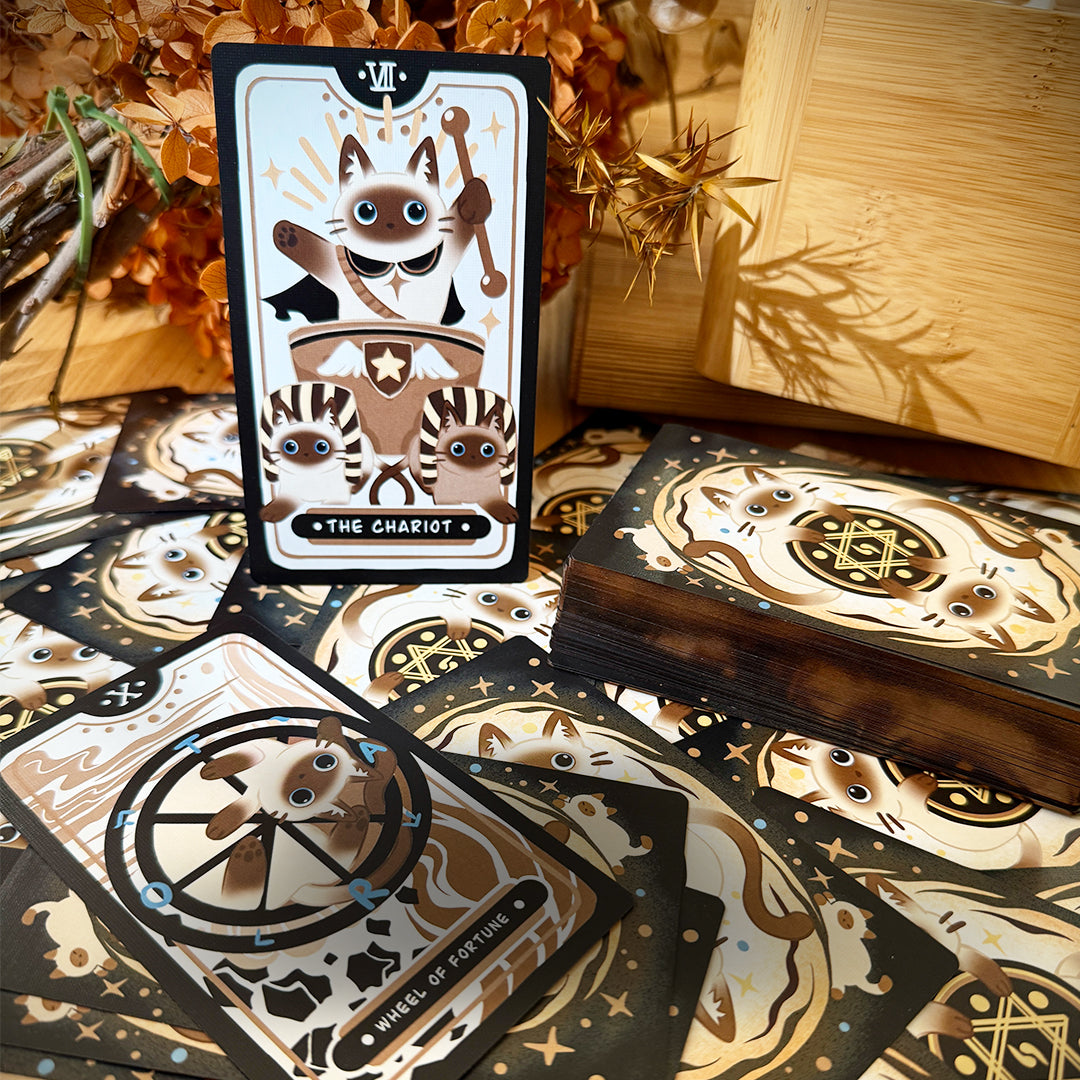 Mocha Siamese Tarot