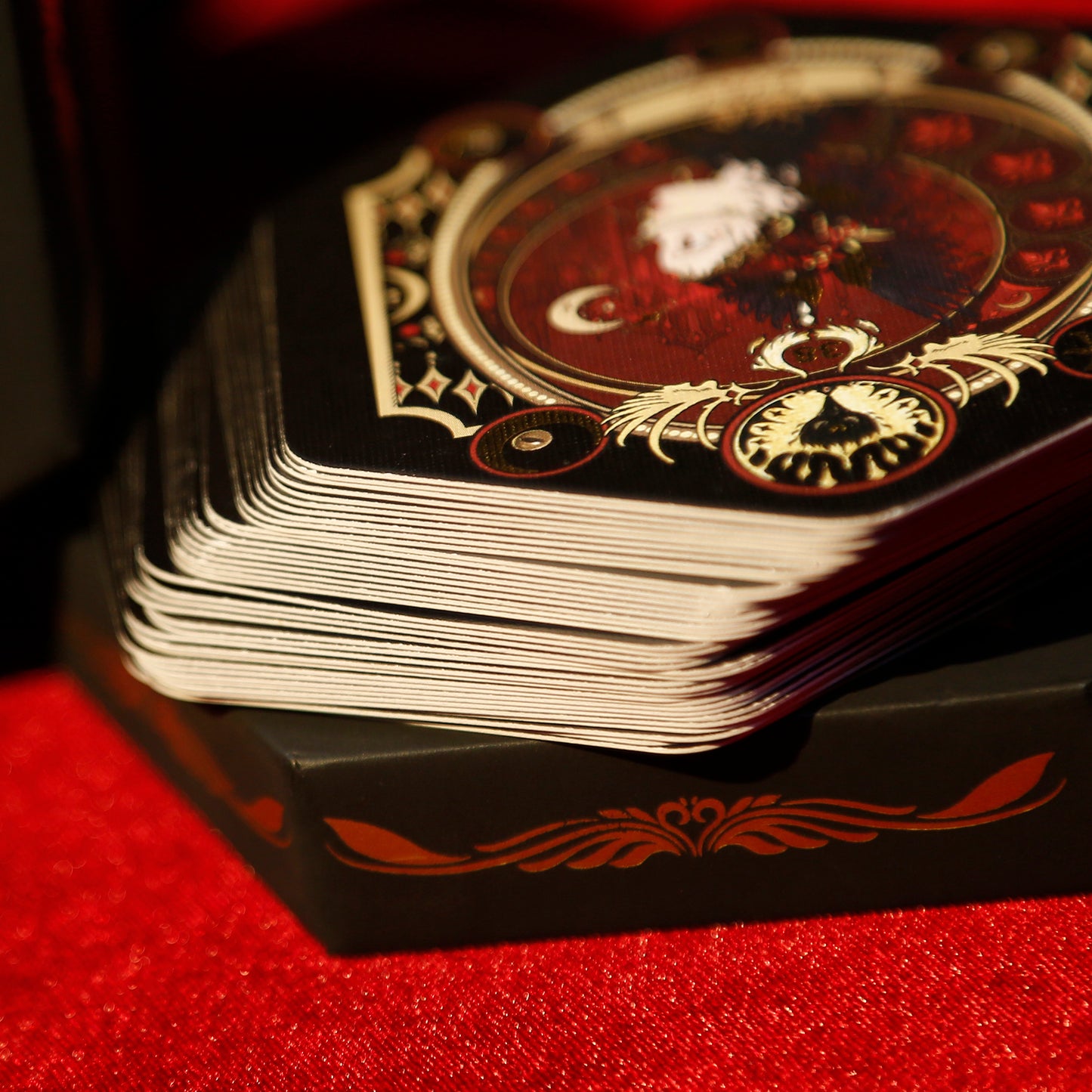 Shadow Night Raven Lenormand