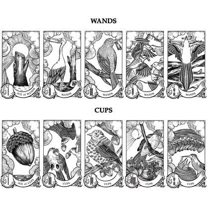 The Nature Tarot: A Winged Tribute to the Rider-Waite