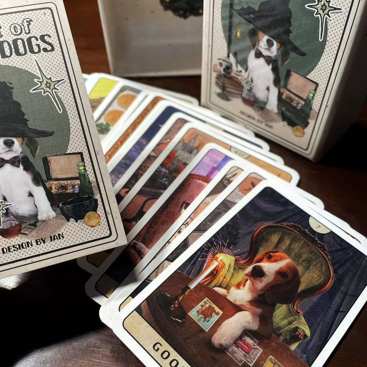 Tarot of Beagle Dogs