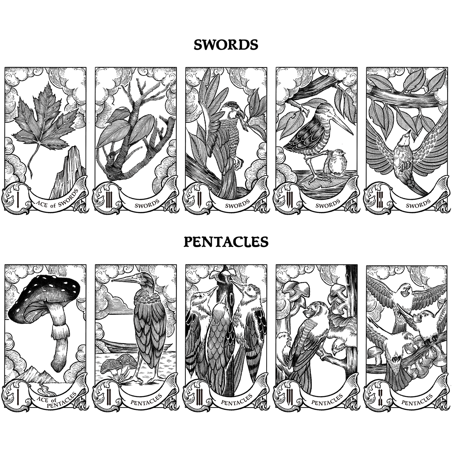 The Nature Tarot: A Winged Tribute to the Rider-Waite