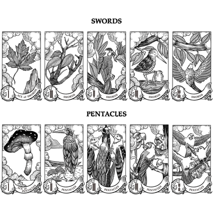 The Nature Tarot: A Winged Tribute to the Rider-Waite