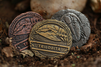 The Age of Dinosaurs Collectible Metal Coins