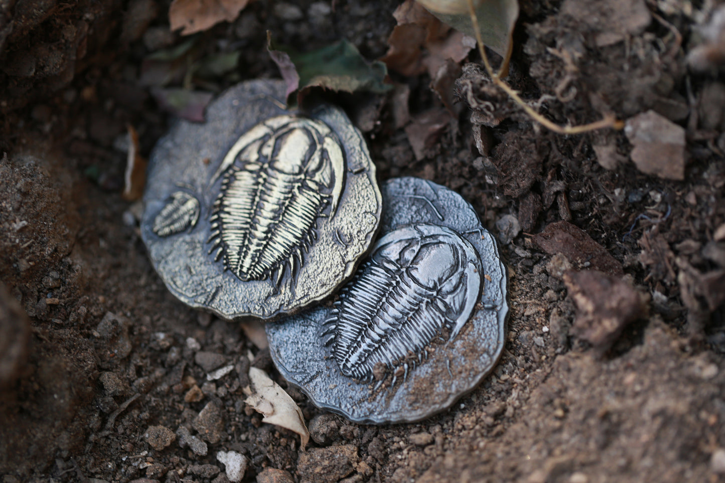 The Age of Dinosaurs Collectible Metal Coins