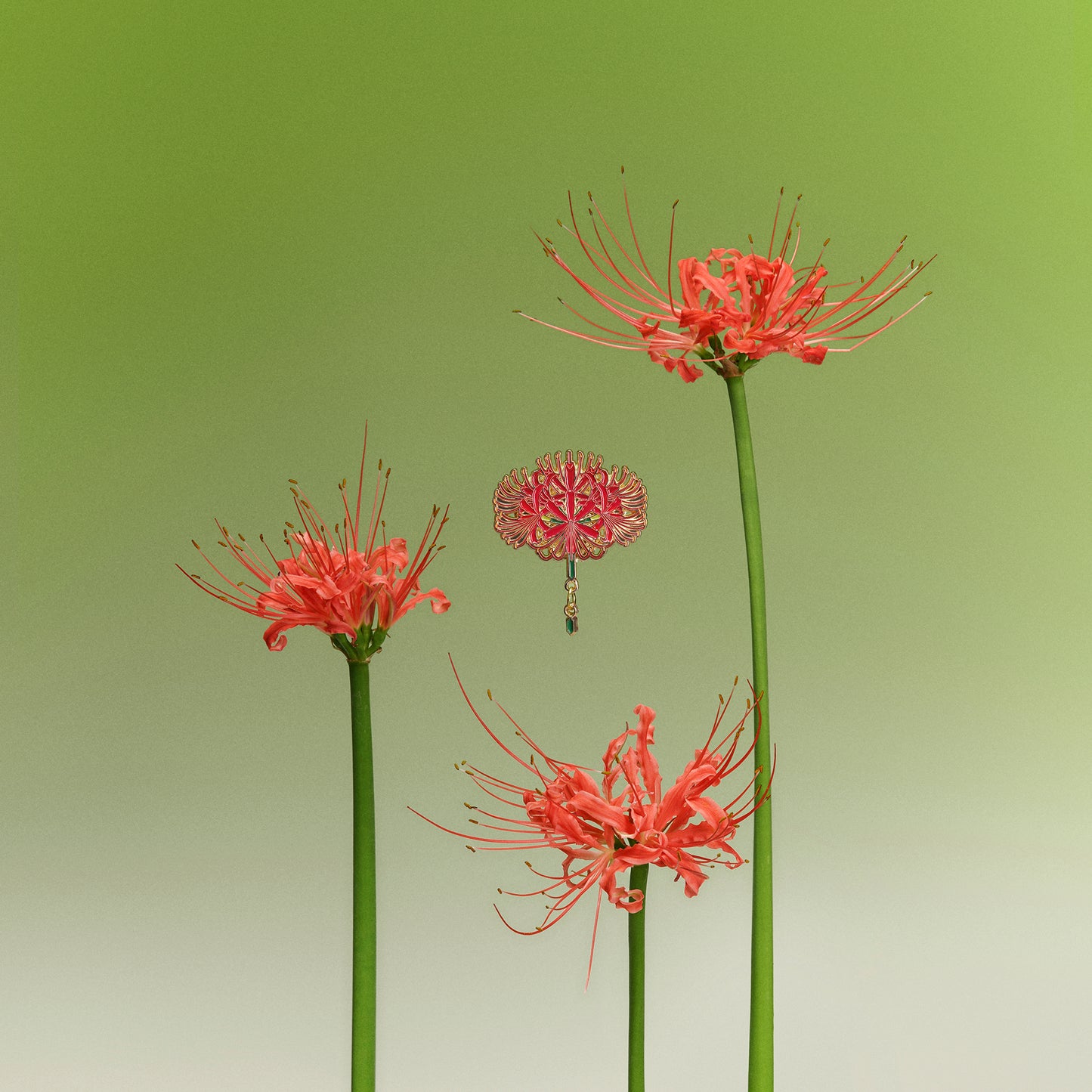 daparo Enamel Pins "Spider Lilies"