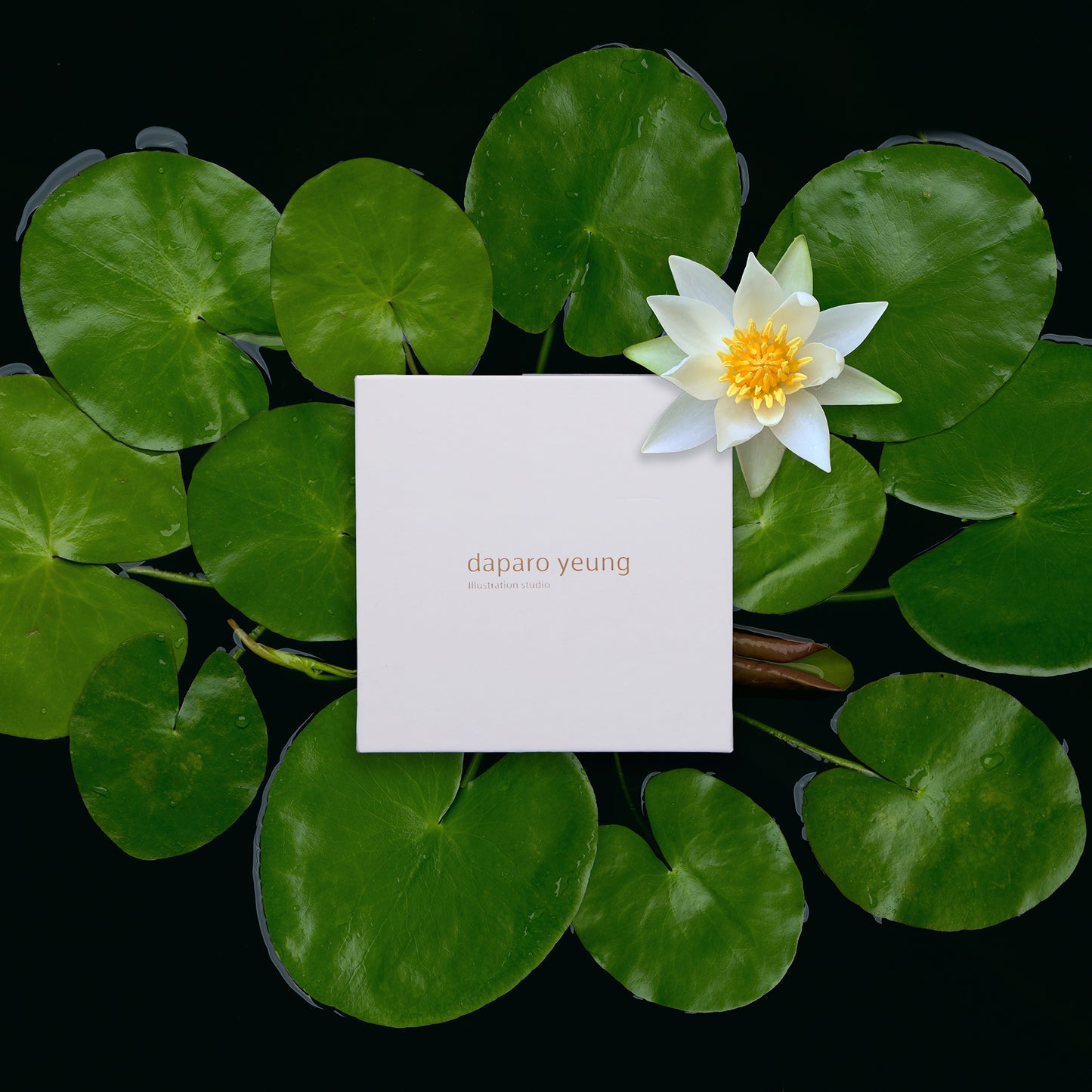 daparo Glow-in-the-Dark Enamel Pins "Pygmy Rwandan Water Lily"