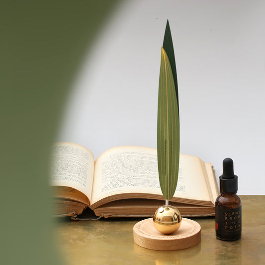 Dancing Wind Essential Oil Diffuser