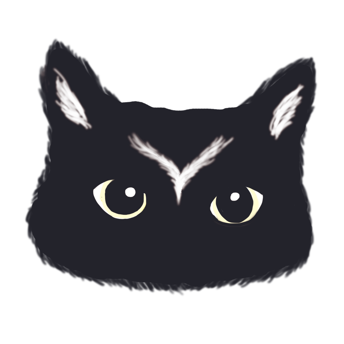 Cat Shadow Studio