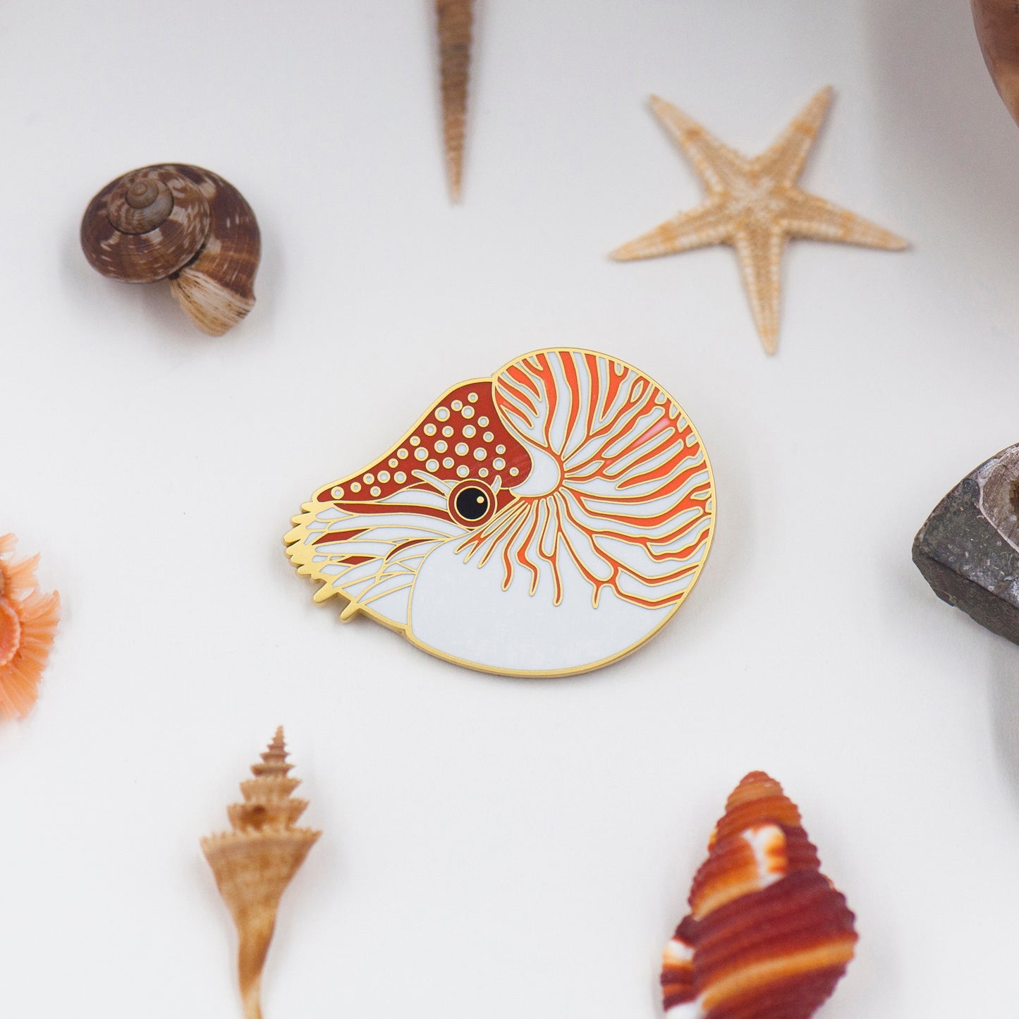 daparo Enamel Pins "Pearly Nautilus"