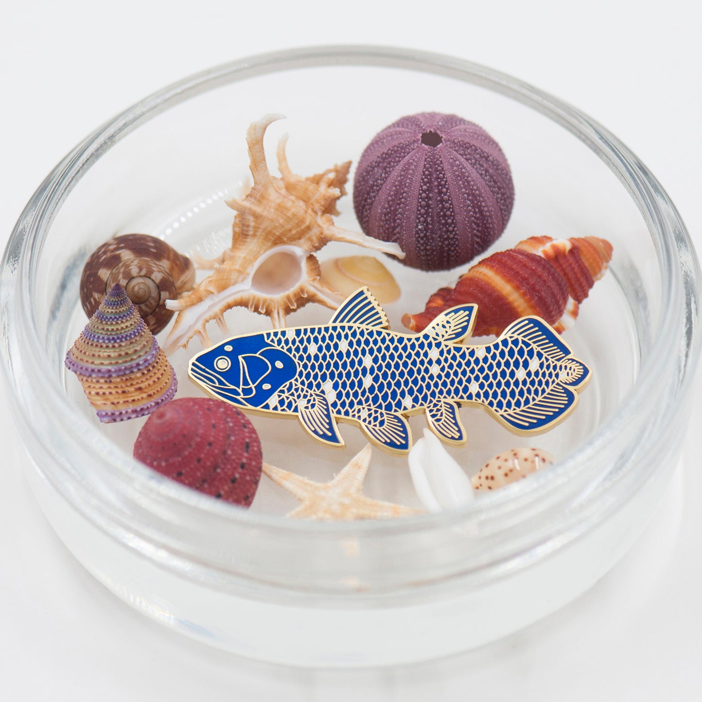 daparo Enamel Pins "West Indian Ocean Coelacanth"