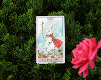 Rabbit Tarot