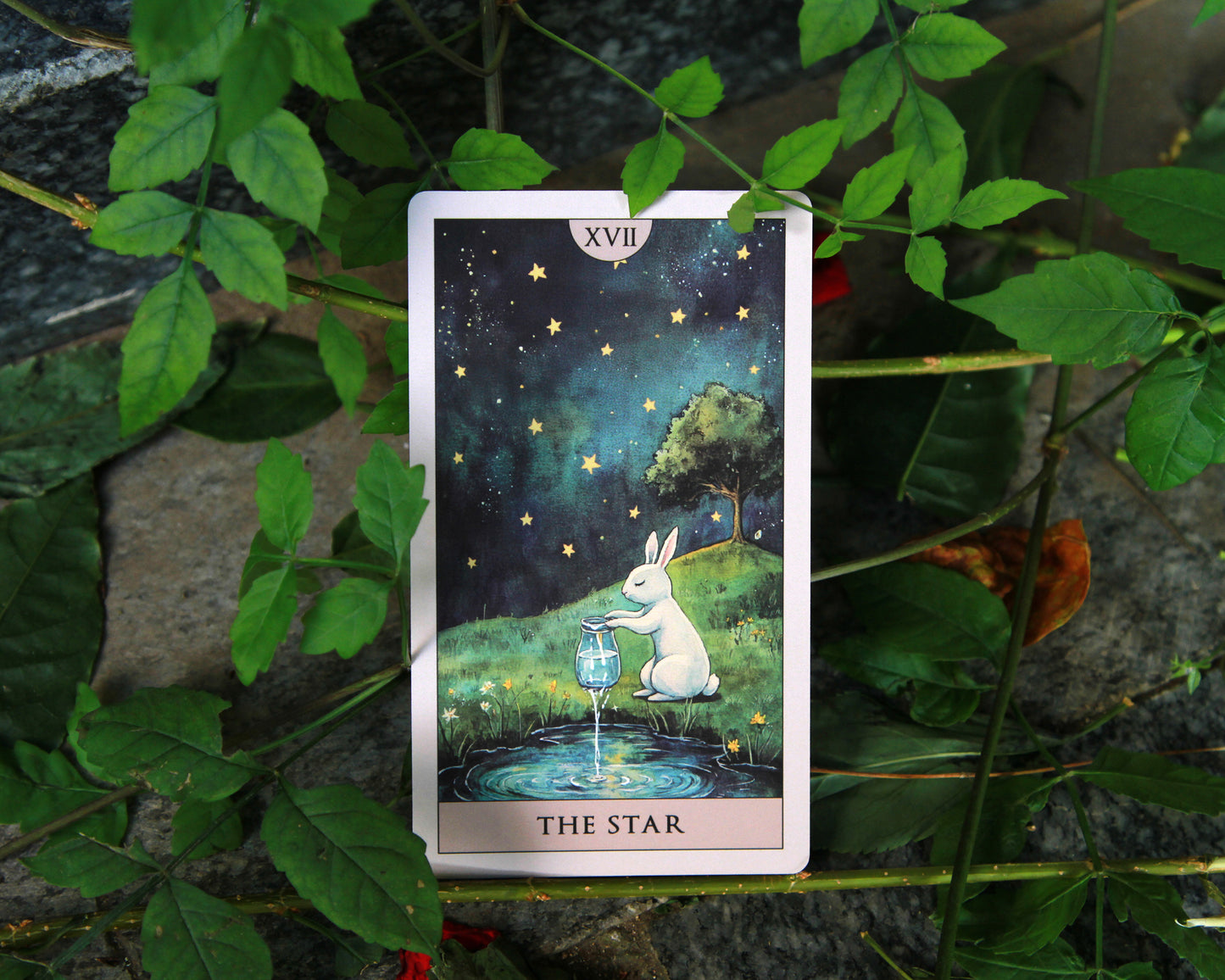 Rabbit Tarot