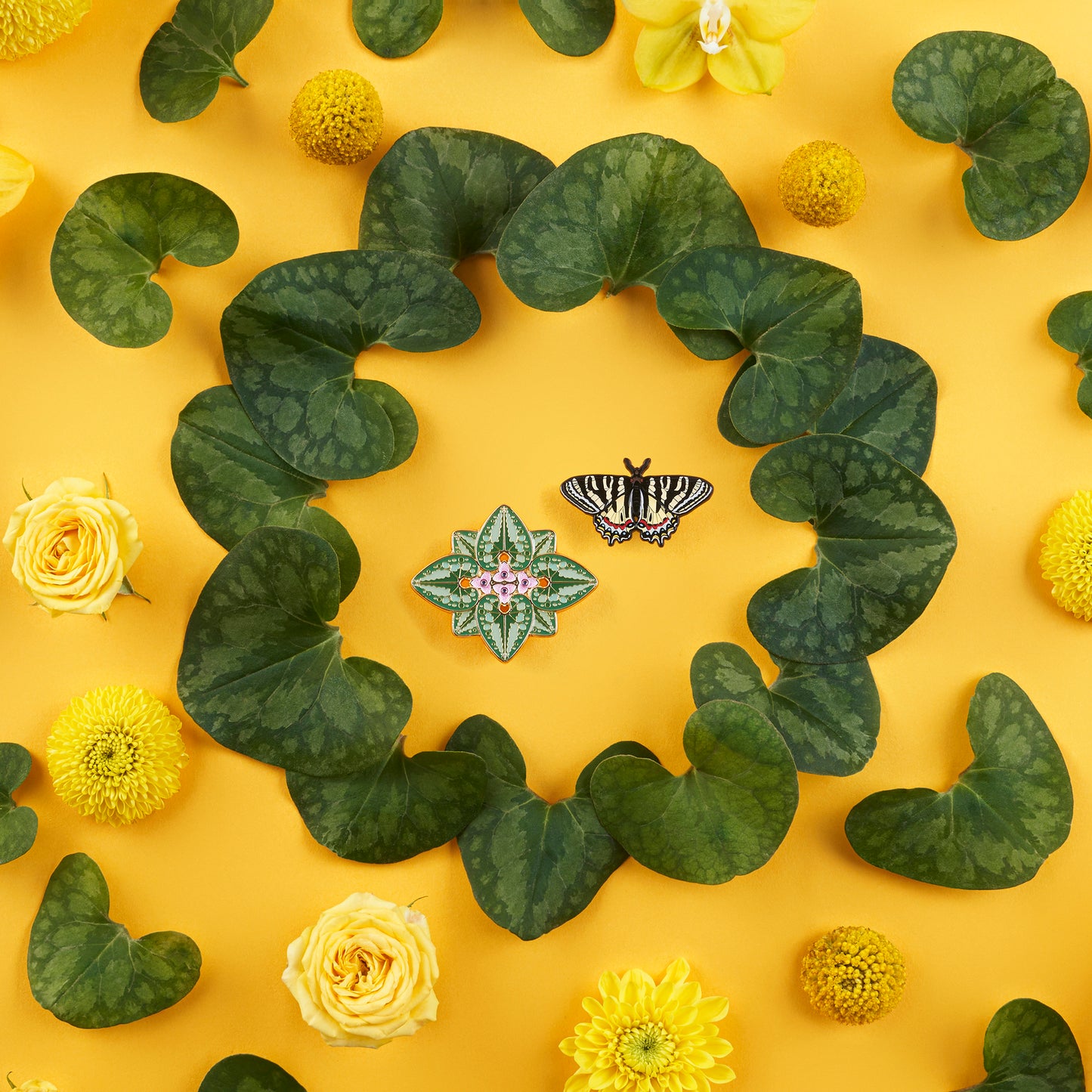 daparo Enamel Pins "Chinese Luehdorfia & Wild Ginger"