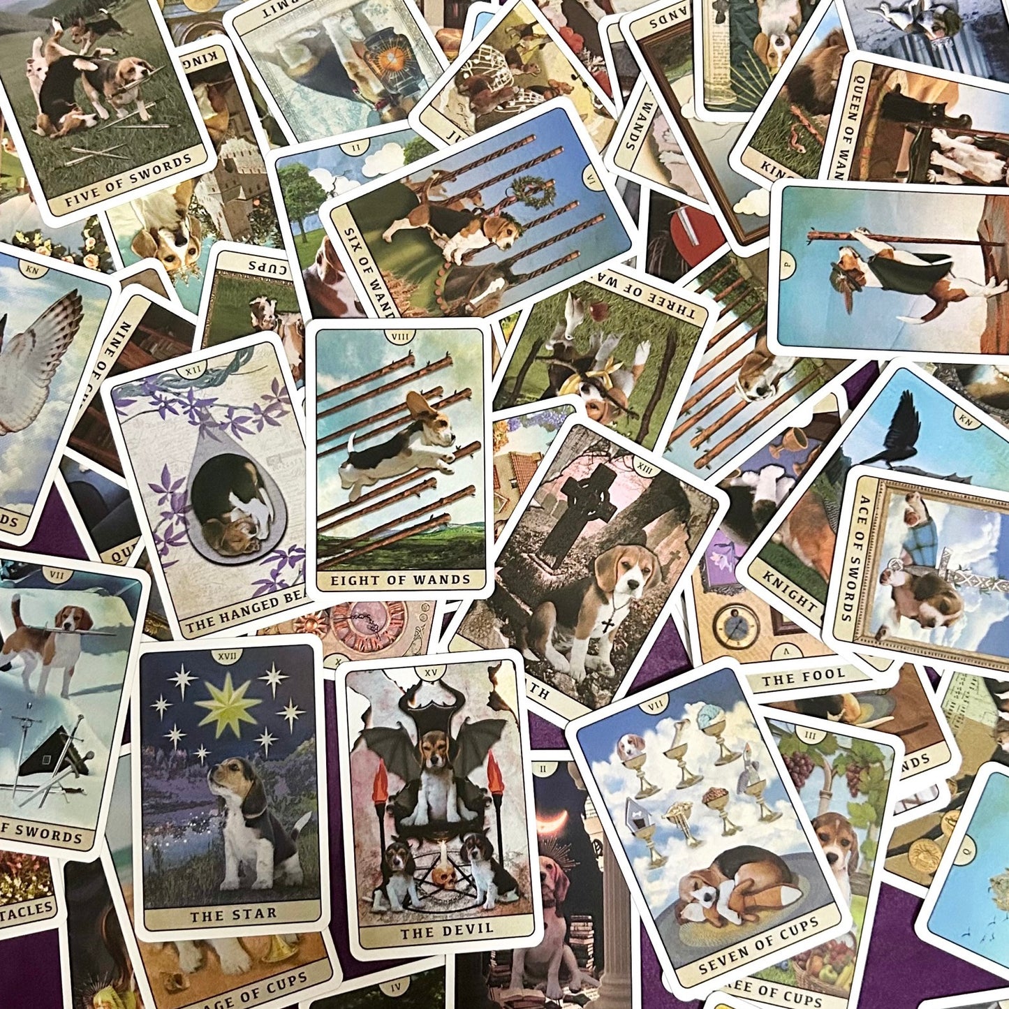 Tarot of Beagle Dogs