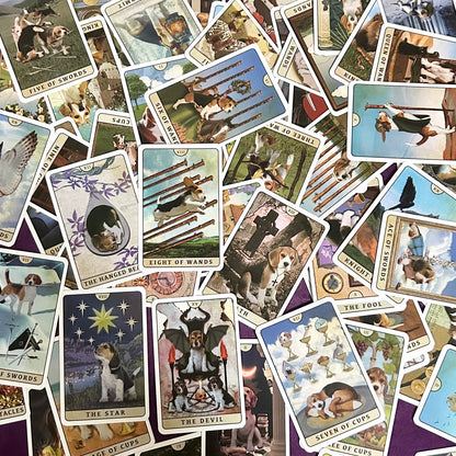 Tarot of Beagle Dogs