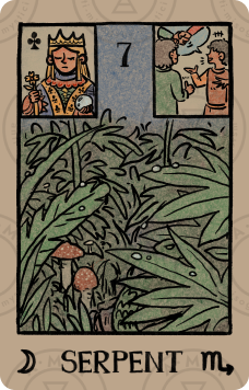 Akashic Eye Lenormand – Snake